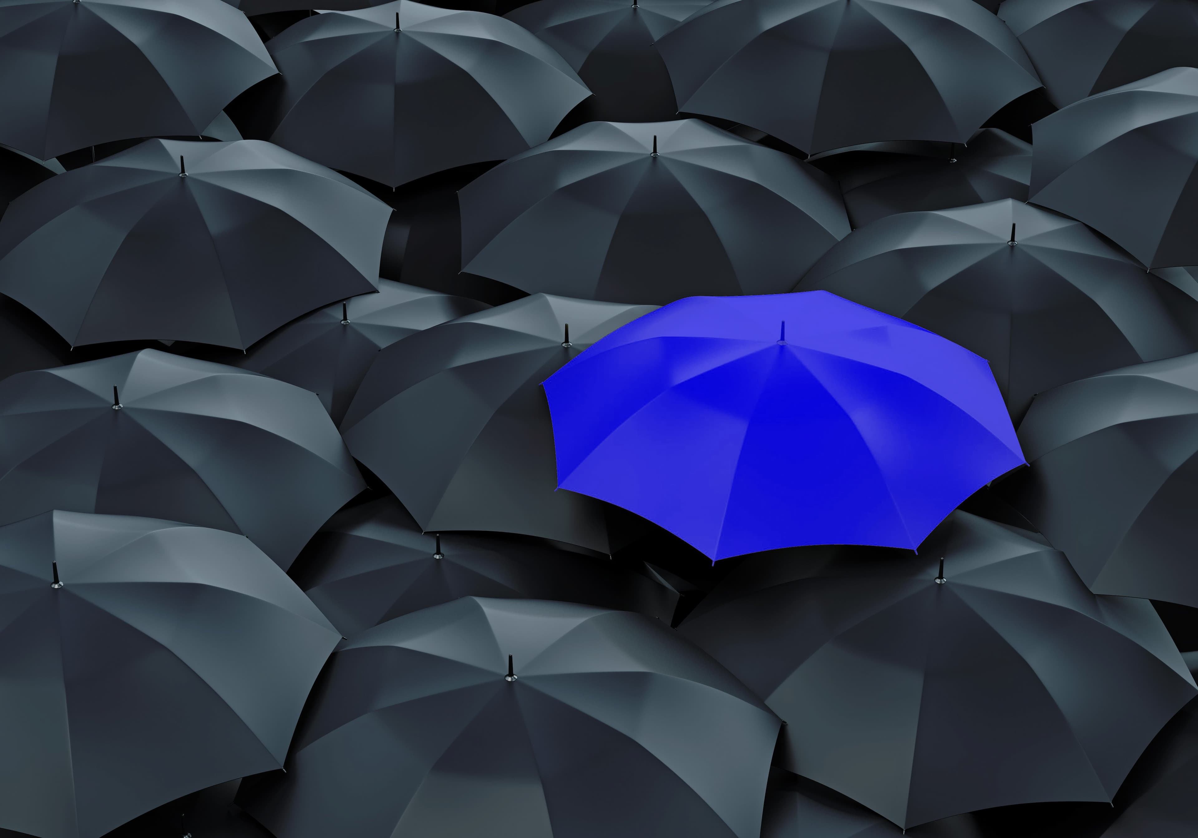 A blue umbrella standing out among dark umbrellas